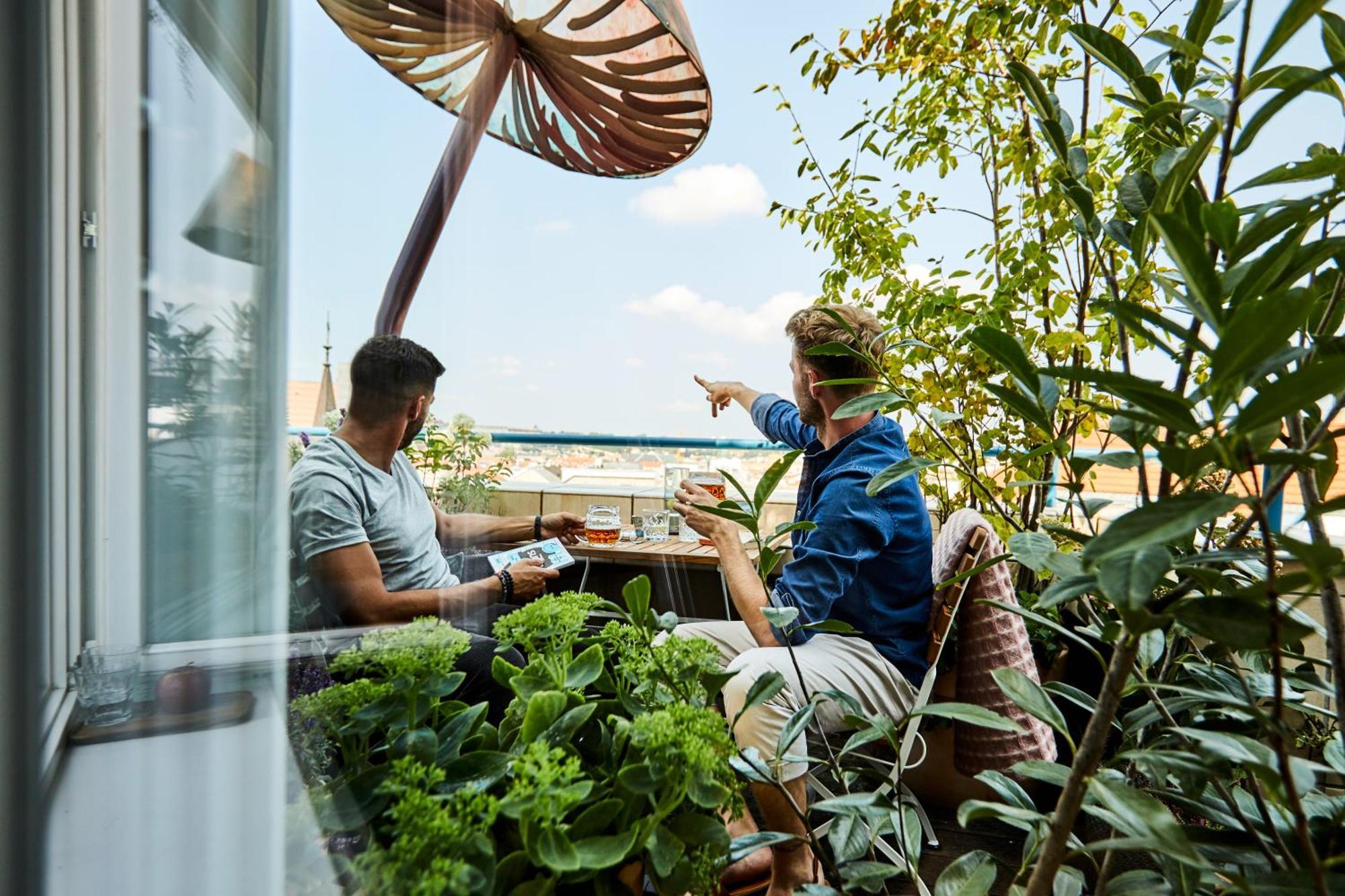 Superior Double or Twin Room Terrace